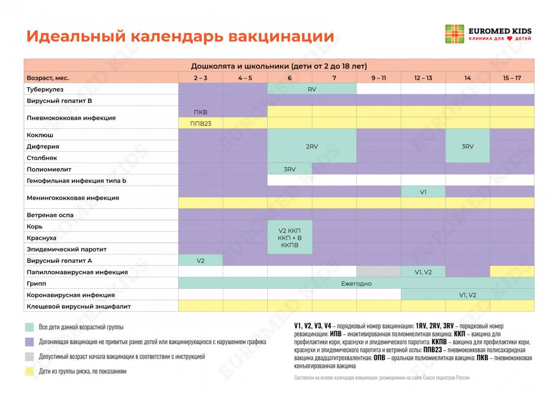 Календарь прививок для детей 2024 ⭐️ Евромед Кидс